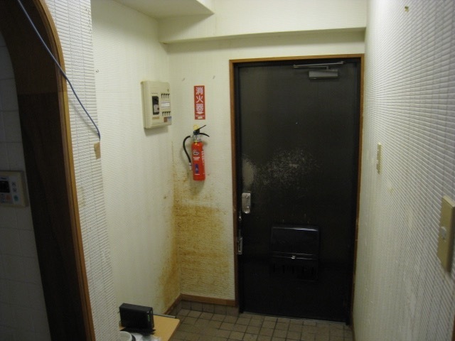 IMG_8695.jpg