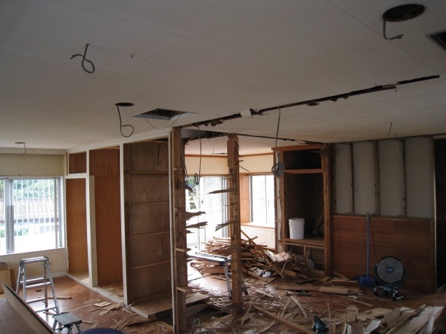 IMG_8862.jpg