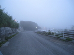 fog1.jpg