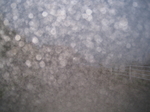 fog3.jpg